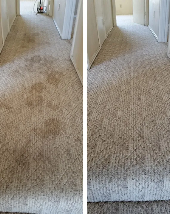 carpet-cleaning-image