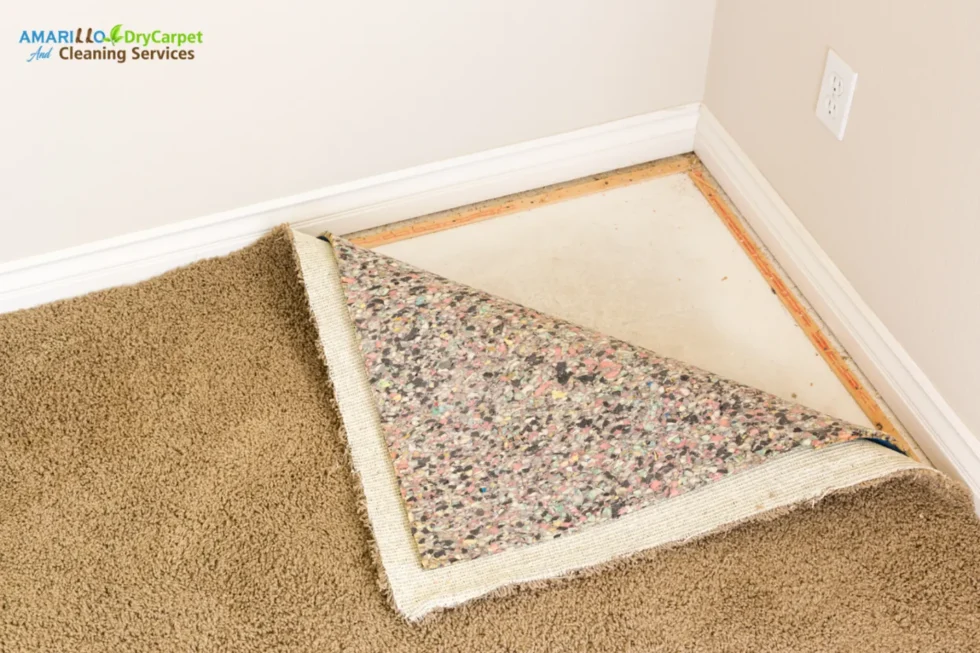 Carpet-stains-in-Amarillo-homes-980x653