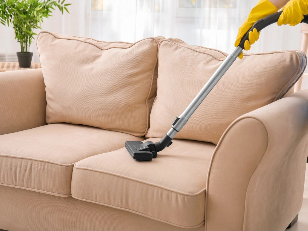 Upholstery Cleaning