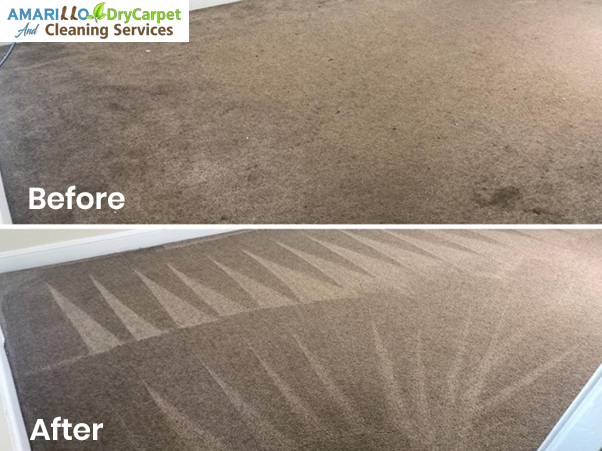 Dealing with Pet Stains? How Amarillo’s Waterless Carpet Cleaning Can Help