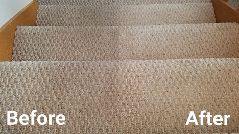 How Amarillo Homes Can Treat Wine, Gravy & Pet Accidents Fast